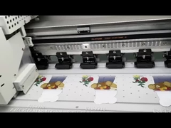 Mencetak DTF T-shirt Printer dengan 4sqm/h Speed Mode dan Opsional PhotoPrint Rip Software