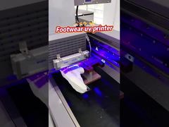 AC 220V/50Hz/60HZ Power Supply Single Pass UV Printer dengan Nozzle Ricoh Gen 5i